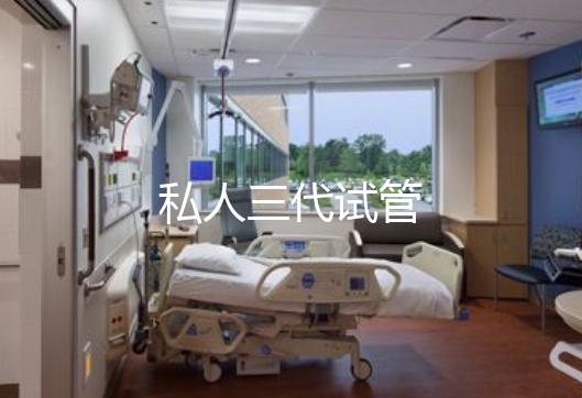 私人三代试管