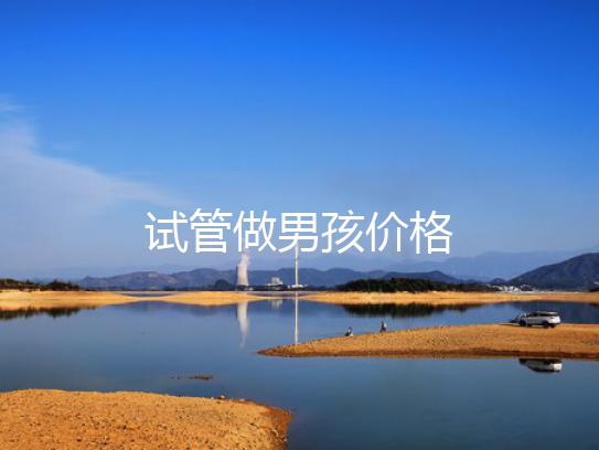 试管做男孩价格